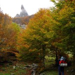 Después de las cabañas de Pédain atravesamos un impresionante hayedo