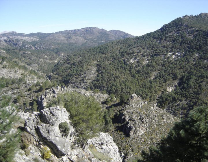 Sierra de Huetor