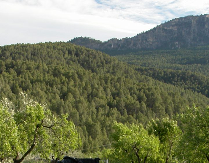 Pico del Buitre en la Sierra de Moratalla