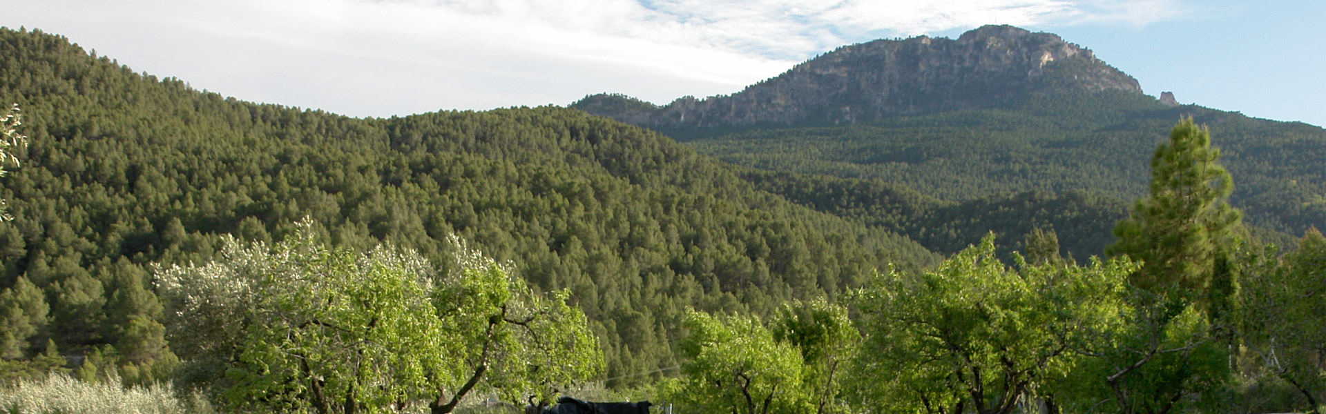 Pico del Buitre en la Sierra de Moratalla