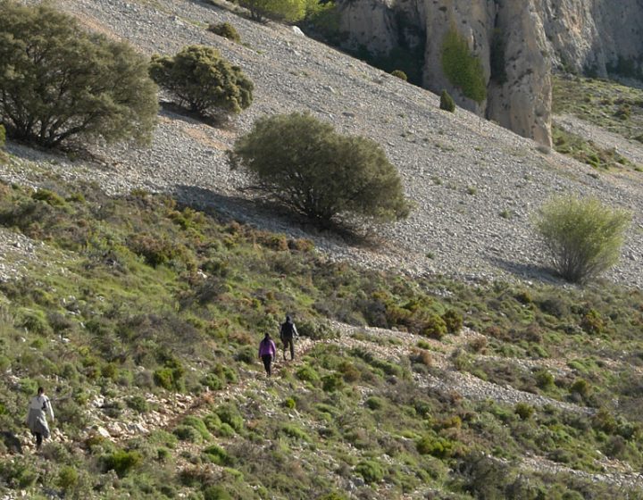 Senderismo en la Sierra Serrella