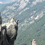 Una cabra descansa en una increible atalaya