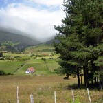 Llanos de Belagua