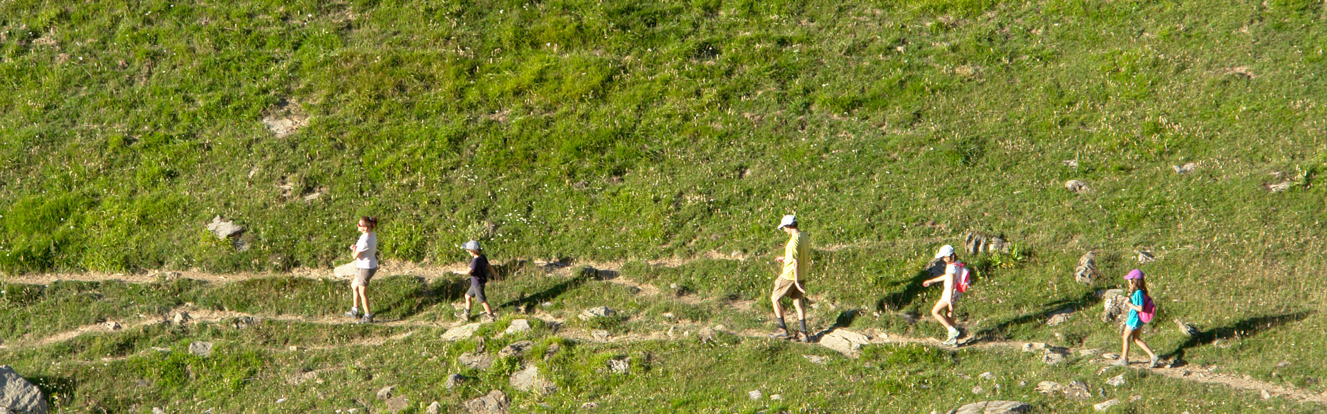 Caminando por un claro en el bosque