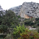 La zona más interesante de la ruta con frondoso bosque Mediterráneo
