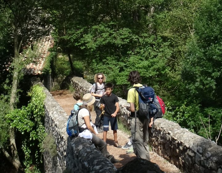 Senderismo con niños en la Alta Garrotxa