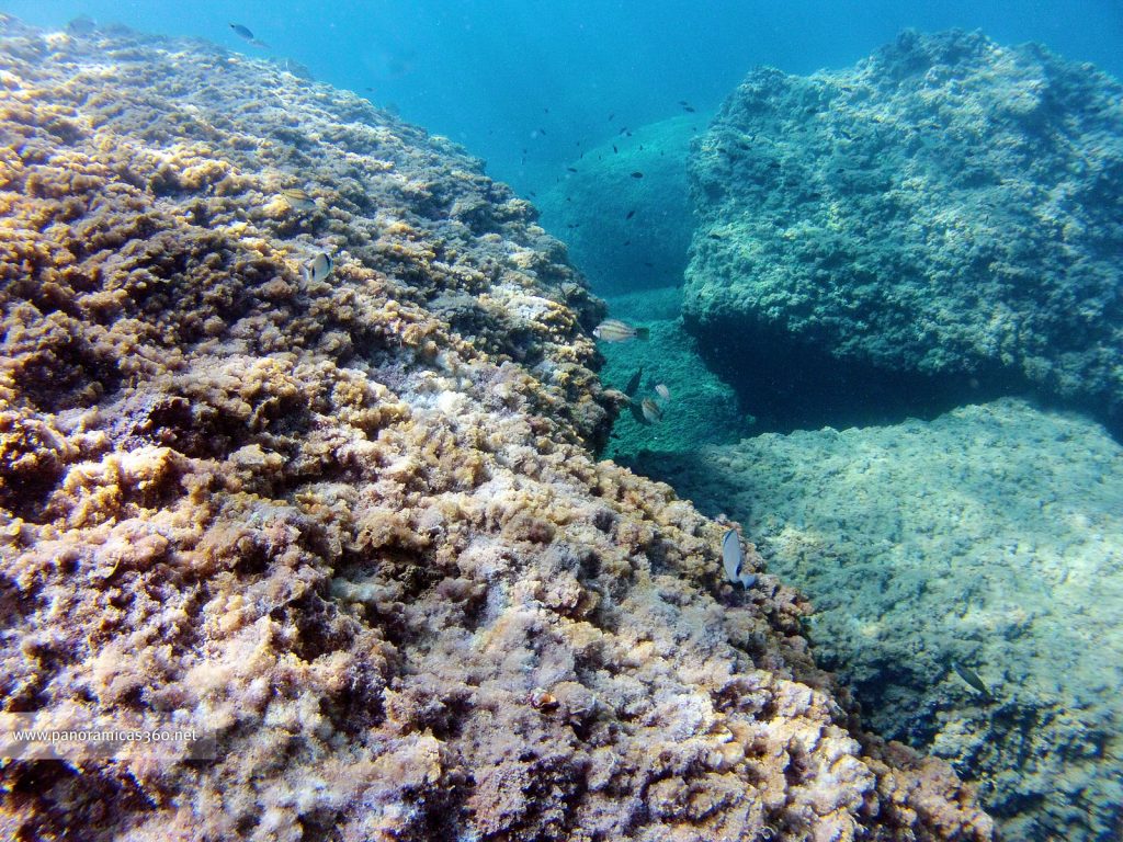 Aguas cristalinas en la Illa Mitjana Agua transparente en la Illa Mitjana