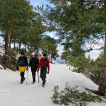 Entrando en el bosque tras dejar el cortafuegos