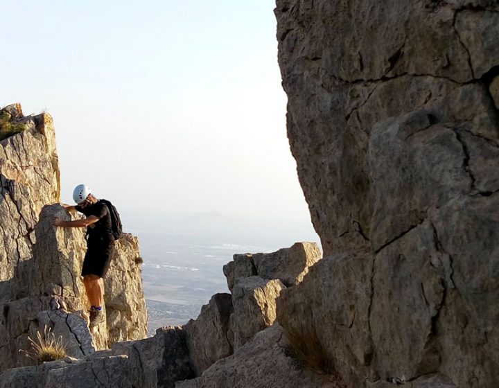 Lidón en la Cresta de les Coves en el Cabeçó d´Or