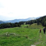 Prados de montaña rodeados de bosque y con espectaculares vistas