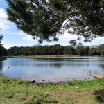 Bassa d´Oles