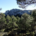 Cresta dels Bardals