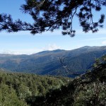 Sierra de Guadarrama