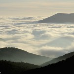 Mar de nubes en Navacerrada