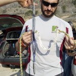 Cuerda de escalada rota y cinta con absorvedor de energía disipada tras la caida de Raúl