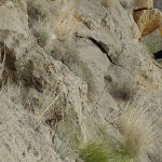 Escalada en el Pequeño Cervino (Alicante). Amistades verticales 6a, 130 m