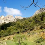 Valle que sube al Monte Cabal y al Sanxet