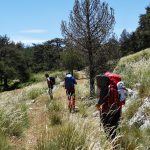 Caminando por la Cañá de la Media Anega