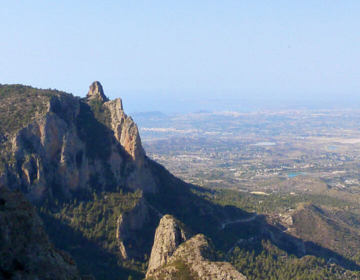 cabezo-dor