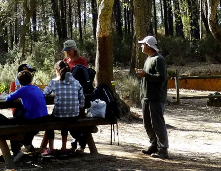 Balsa en el surar Lluxent Pinet