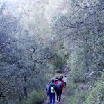 Senderismo en el Barranc de l’Infern en la Parque Natural de la Font Roja (Alcoy)