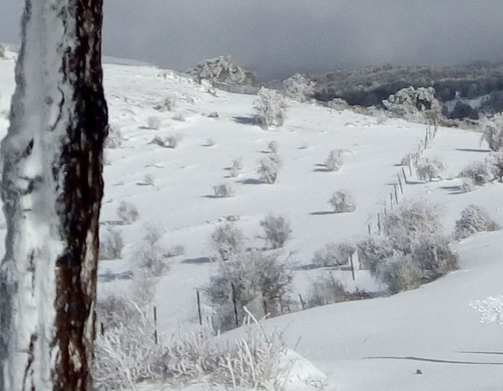 Senderismo con niños en la Sierra de Segura. Nacimiento del Segura - Campos de Hernán Perea