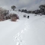 Nuestras pisadas en la nieve