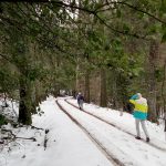 Pista ancha y sin pendiente al comienzo de la ruta