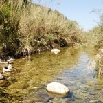 El GR 330 cruza el río Polop