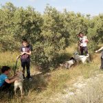 Después de nuestra excursión paseando perros de la asociación Asoka