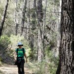 Senderismo con niños en la Font Roja. Cris bajo la pinada