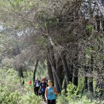 Senderismo con niños en el barranco de los Molinos