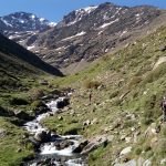 Sendero junto al río Valdecasillas