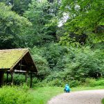 Cabaña en el bosque