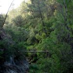 Puente en la Cerrada de Elías del río Borosa