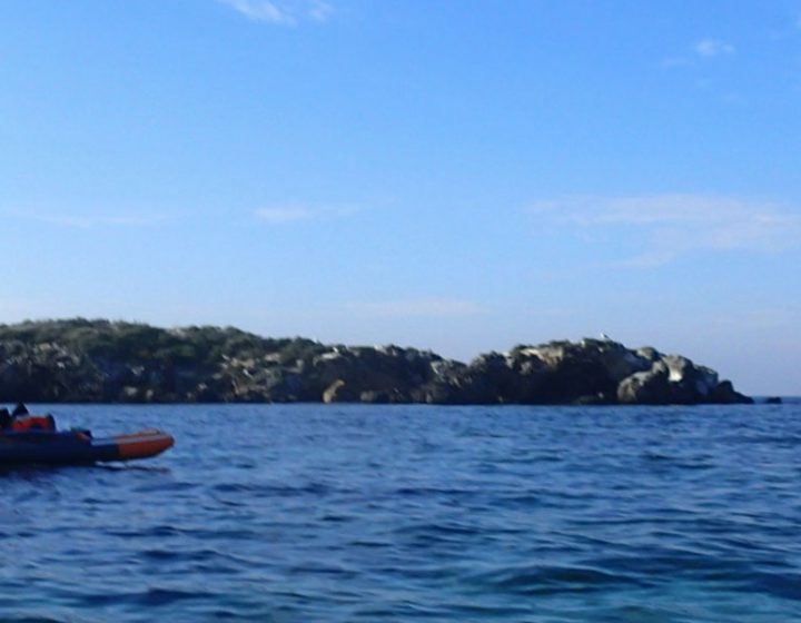 Paddle surf en la Reserva Marina Isla de Tabarca
