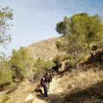 Senda de acceso a la pared del Rut en Redován