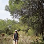 Fer de camino al barranco de Soler