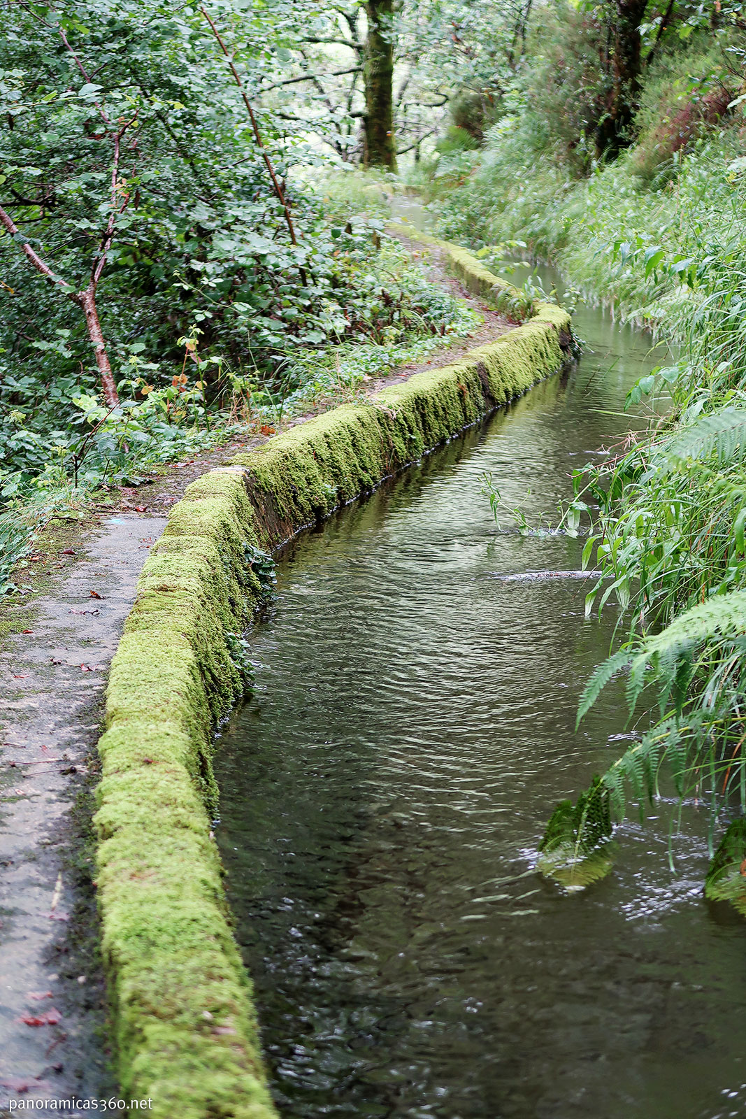 Canal de Domiko en el Parque Natural de las Peñas de Aia