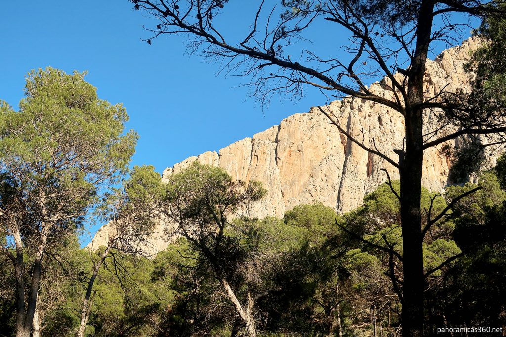 Pared sur de Leiva. Sierra Espuña
