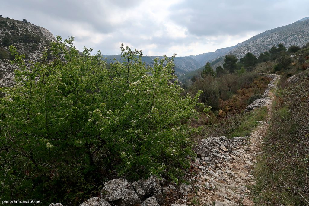 Senda que parte del Corral de les Penyetes
