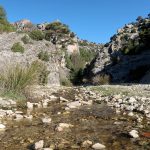 Arroyo en el barranco de Túnez