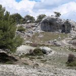 Muflones en un abrigo de la Sierra de Castril