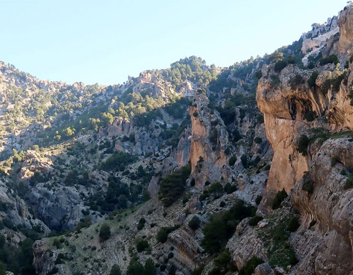 Parque Natural Sierra de Castril