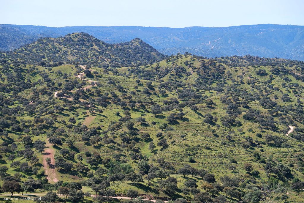 Monte Mediterráneo. Parque Natural Sierra de Andújar