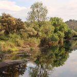 Parque Natural Sierra de Andújar ¡Descúbrelo!