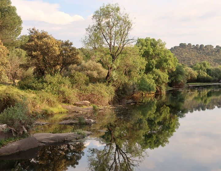 Río Jándula en el Parque Natural Sierra de Andújar