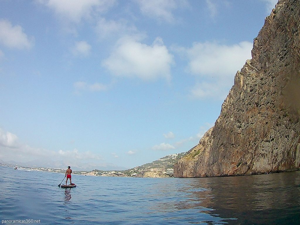 Estrella espinosa (Echinaster sepositus)