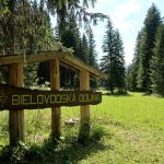 Entrando al paraje conocido como Bielovodská Dolina