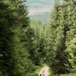 Precioso camino por donde discurre esta ruta senderista en los Montes Tatras